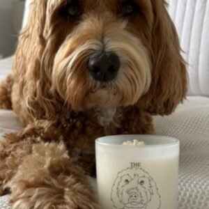 f and w cockapoo candle