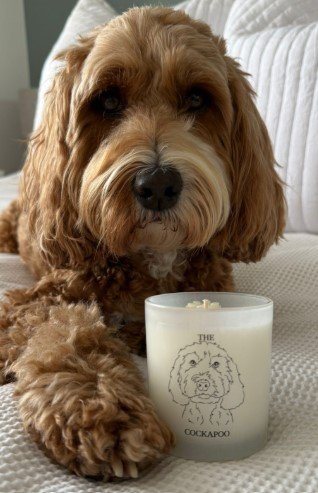 f and w cockapoo candle