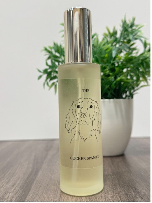 f and w cocker spaniel