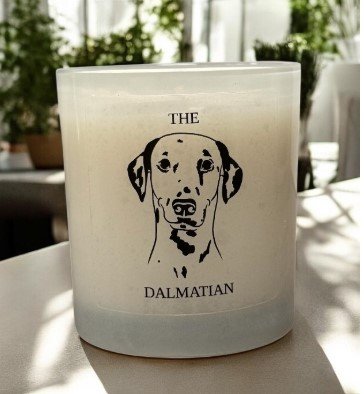 f and w dalmation candle