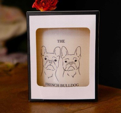 f and w french bulldog