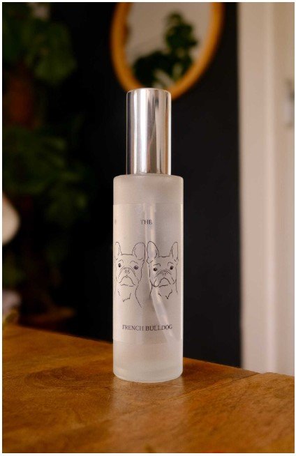 f and w french bulldog