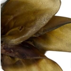 cows ear