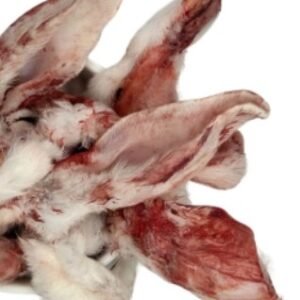 rabbit ear