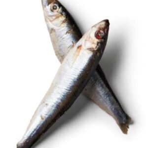nutriment sprats