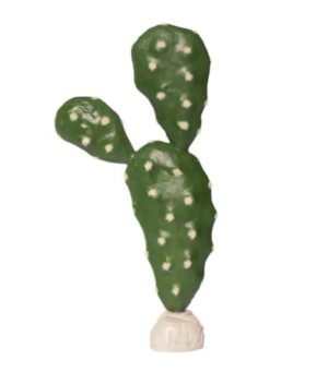 habistat prickly pear cacti