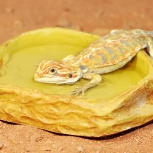 habistat sandstone water dish