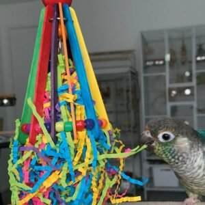 northern parrots hatchday hat
