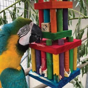 northern parrot jail break toy