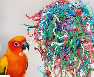 northern parrots party paper preener