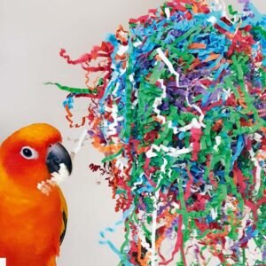 northern parrots party paper preener
