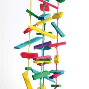 northern parrots rainbow tower