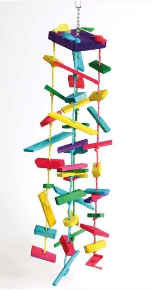 northern parrots rainbow tower