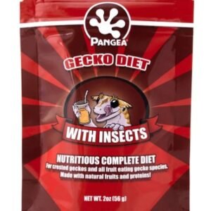 pangea gecko diet with insects
