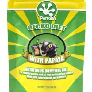 pangea gecko diet withpapaya