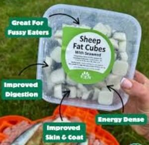 fbn sheep fat cubes