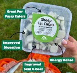 fbn sheep fat cubes