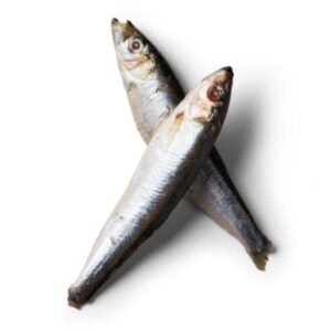 Nutriment Sprats 1kg